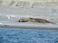 Wales-Nome 127